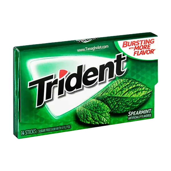 آدامس تریدنت نعنایی14عددی